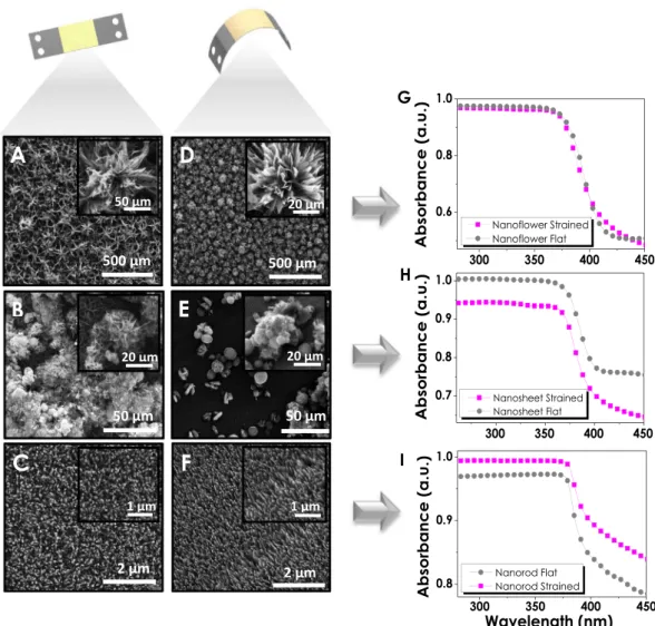 Figure 4.  Comparison between flat and strained SEM images of (A–D) Nanoflower, (B–E) Nanosheet and 