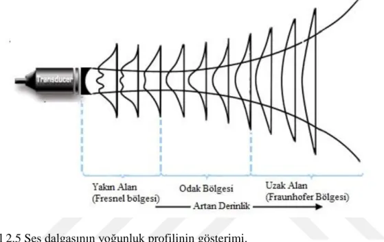 Şekil 2.5 Ses dalgasının yoğunluk profilinin gösterimi. 