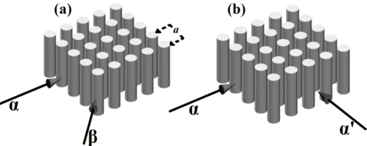 Şekil 2.2: 2B kare-örgülü silindirik FK çubuklar. (a) Farklı indis modülasyonuna sahip iki  yön {α,β} belirtilmiştir