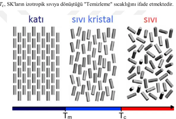 Şekil 3.5'te de görüldüğü üzere SK mezofazı, belirli sıcaklık aralığında oluşmaktadır;  &lt; &lt; 