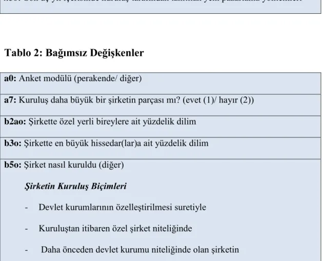 Tablo 1: Bağımlı Değişkenler 