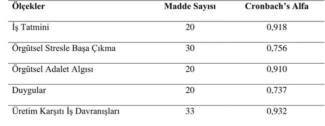 Tablo 3.1. Güvenirlik Analizi Sonuçları 