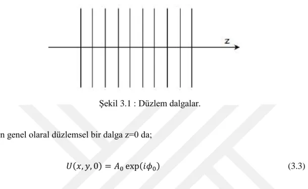 Şekil 3.1 : Düzlem dalgalar. 