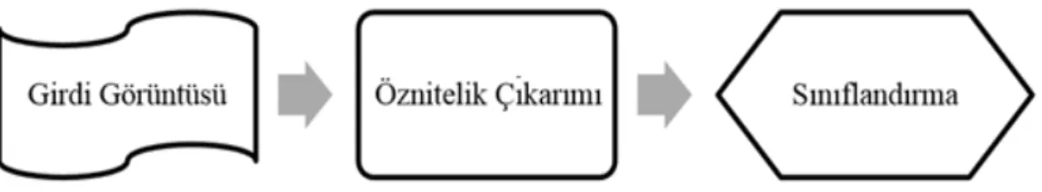 Şekil 3.1 : Yöntem şematiği. 