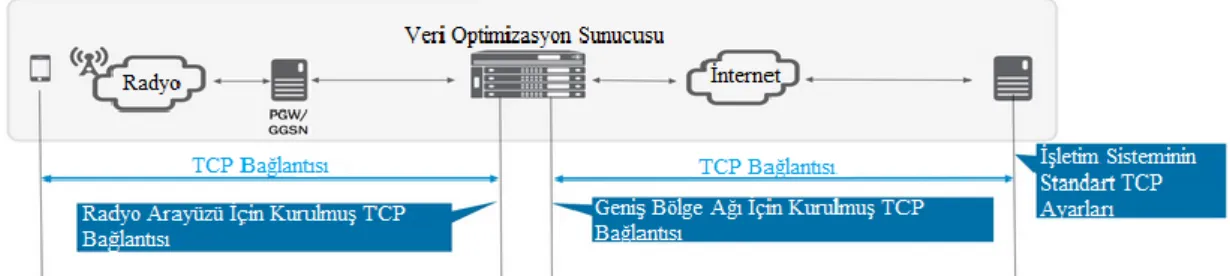 Şekil 1.5 : Veri optimizasyonlu mobil ağ [2].  