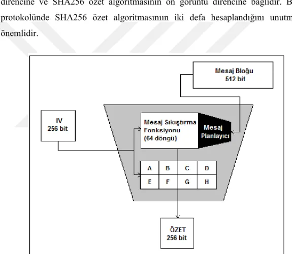 Şekil 3.1 : SHA256 özet algoritmasının genel görünümü. 