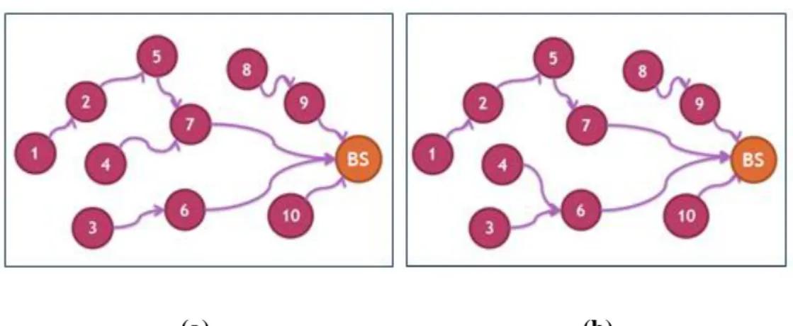 Şekil 5.1 : (a) tek kopyalı ve (b) dengeli tek kopyalı strateji. 