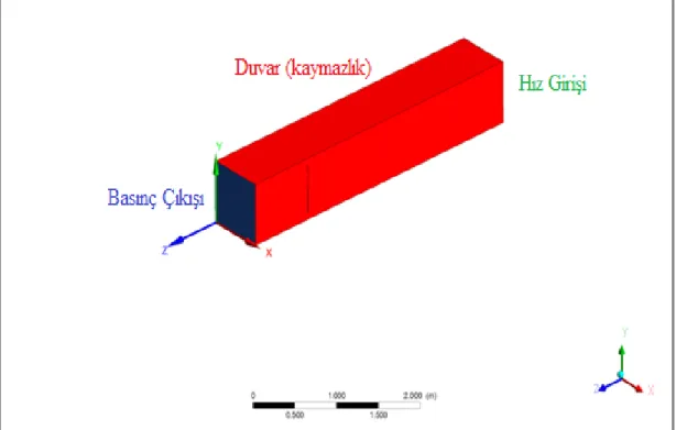Şekil 2.4 Tek fazlı HAD analiz sınır koşulları  Tek fazlı gerçekleştirilen HAD simülasyonları sınır koşulları: 