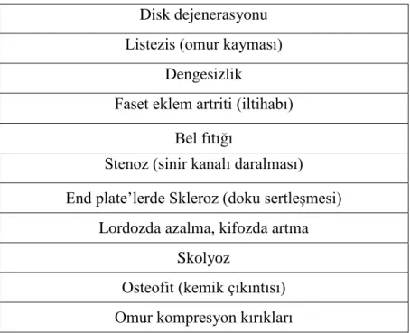 Çizelge 1.1. KomĢu segmentlerde meydana gelen rahatsızlıklar. 