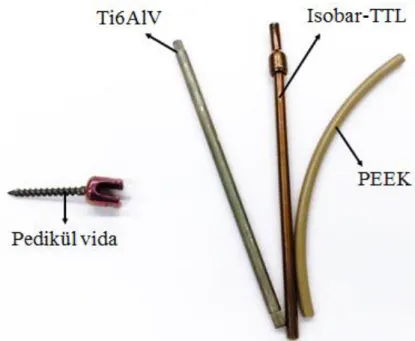 ġekil 2.2. Pedikül ve kullanılan çubuk türleri. 