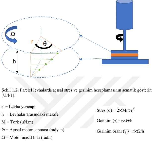 Şekil 1.2: Parelel levhalarda açısal stres ve gerinim hesaplamasının şematik gösterimi  [Url-1]