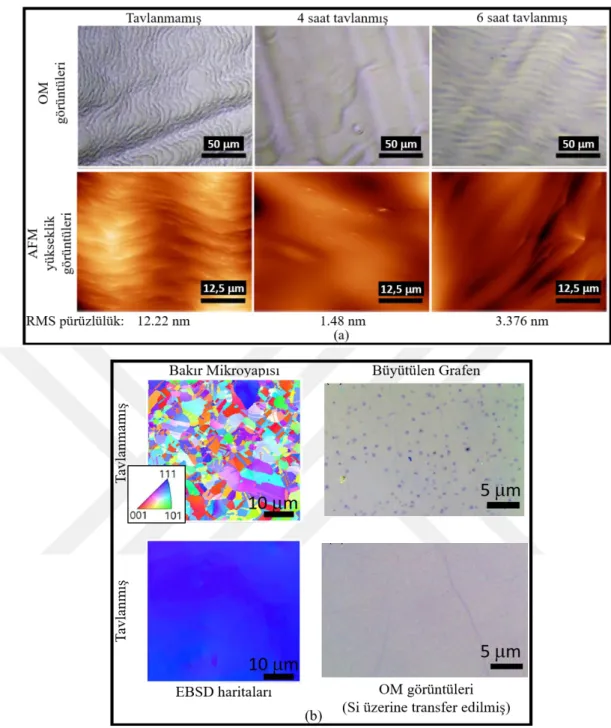 Şekil 2.9: (a) Aynı sıcaklıkta farklı sürelerde tavlanmış bakır alttaşların OM ve AFM  yükseklik görüntüleriyle RMS yüzey pürüzlülük değerleri