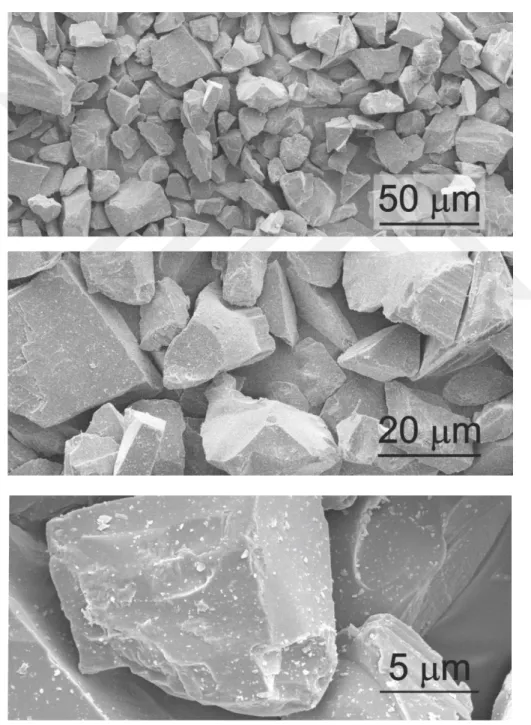 Şekil 3.3: Kullanılan SiC tozlarının farklı büyütmelerde SEM görüntüleri 