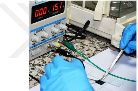 Figure  2.2  Overoxidation  step  of  PEDOT:PSS  electrodes.  A  pre-determined  2  mm region is electrochemically overoxidized with 20% KCl solution via applied  voltage 