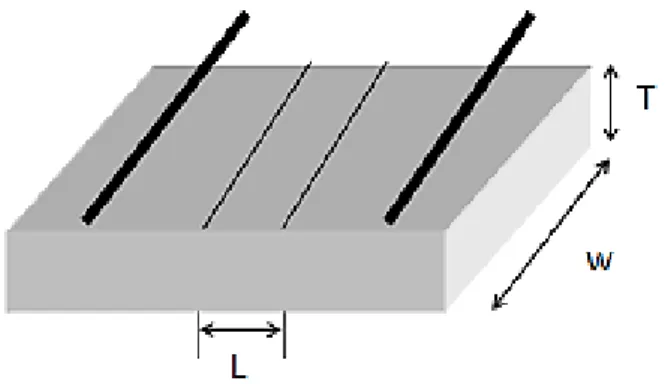 Figure  2.6  Inside  structure  of  conductivity  cell.  L  represents  the  distance  between two side electrodes; W and T are the width and thickness of samples