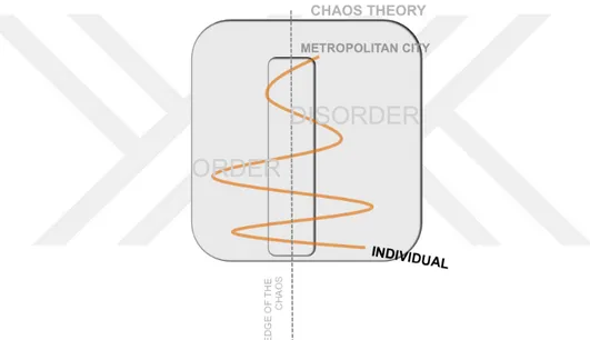 Figure 4.1. : The diagram of the individual on the complexity 