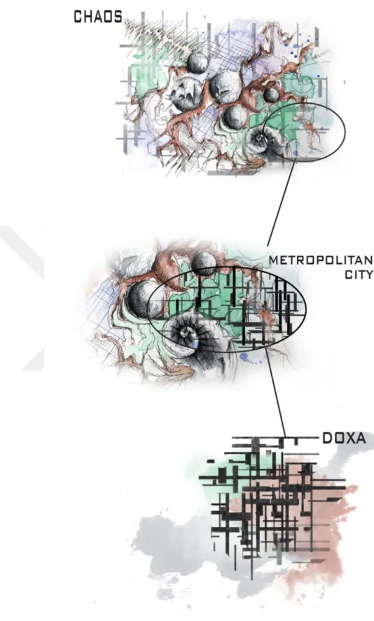 Figure 4.5. :  The relationship of Chaos-Metropolitan City and Doxa 