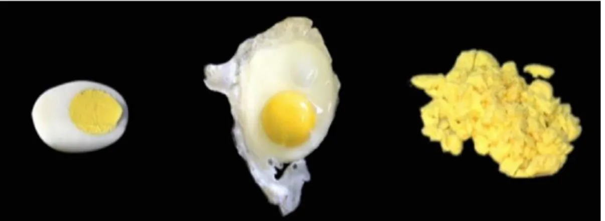Figure 2.6: Egg City model by Cedric Price (Oikonet-Cottbus Workshop 2015).  The concept of egg city also describes the changes within the borders of disciplines