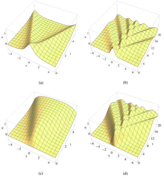 FIG. 1. Evolution of the local and nonlocal wave equation solutions with vanishing initial velocity ((a) and (b)) and vanishing initial displacement ((c) and (d))