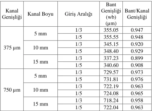 Çizelge 3.2 Nümerik simülasyon  sonuçları-1(E ac :40J/m 3 ,Debi:0,4ml/dak.) 