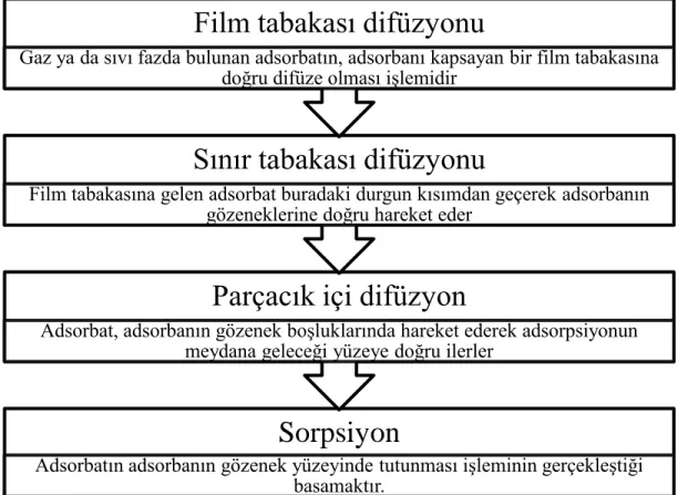 Şekil 1.6. Adsorpsiyon sürecinde ana basamaklar [28] 