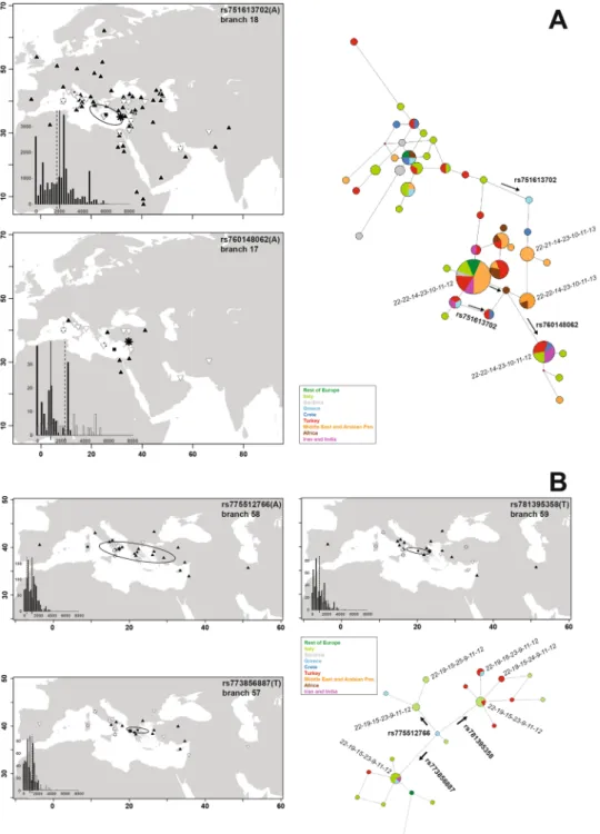 Figure 2.  Maps of sampling locations for the carriers of the derived allele (white triangle point down) at the 
