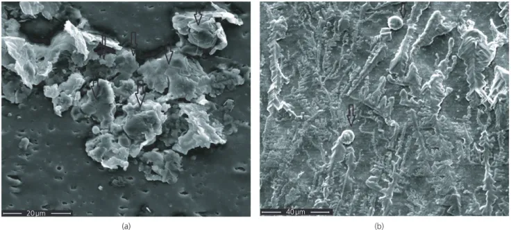 Figure 7. SEM images of S. epidermidis on (a) bare silicone surface removed from rats and (b) PP-functionalized surface removed from rats