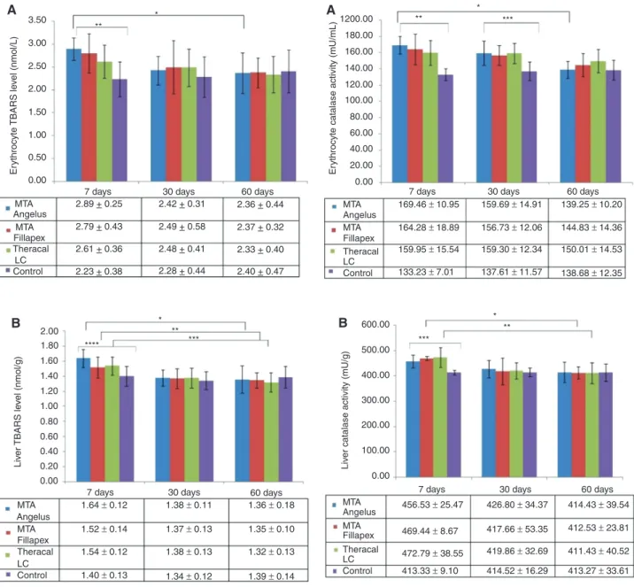 Figure 2: (A) Erythrocyte Catalase (CAT) activity of rats that 