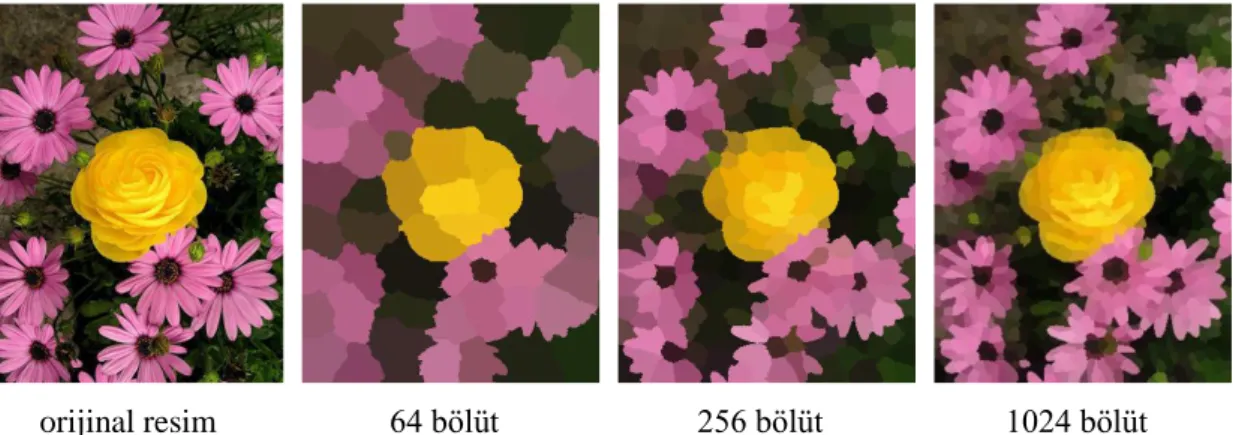 Şekil  2.2’de  bölütleme  algoritmasının  64,  256  ve  1024  süperpiksel  alanına  göre  ayrılmış  sonuçları  yer  almaktadır
