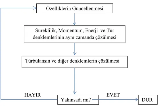 Şekil  ‎ 4.1’  de  basınç  tabanlı  algoritmanın  çözüm  yaklaşımı  şematik  olarak  gösterilmiştir