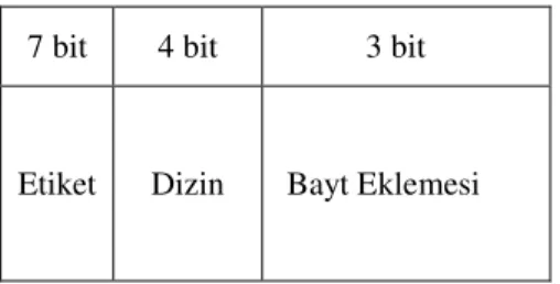 Şekil 3.2. Verilen Örnek İçin Ana Bellek Adres Biçimi 