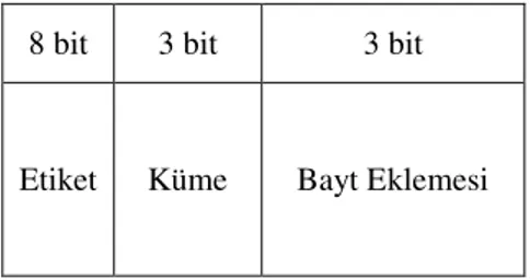 Şekil 3.7. Kümeli İlişkili Eşleme İçin Ana Hafıza Adres Biçimi 