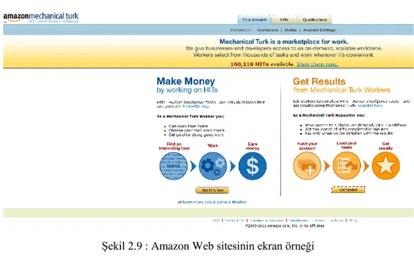 ġekil 2.9 : Amazon Web sitesinin ekran örneği 