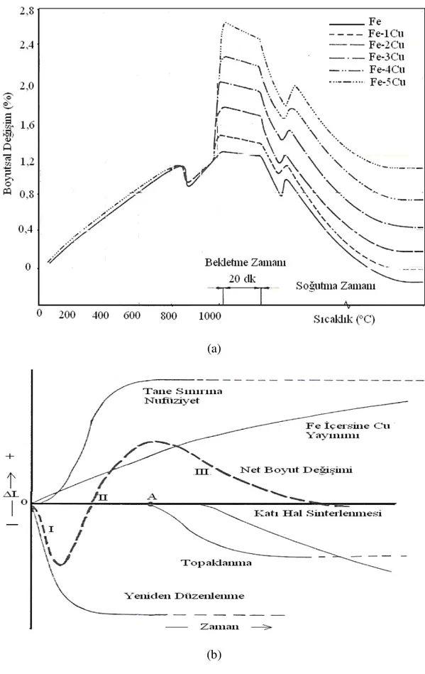 Şekil 2.4.2.Fe-Cu alaşımlarının (a) dilatometrik eğrileri  (b) bunların kaynakları [19]