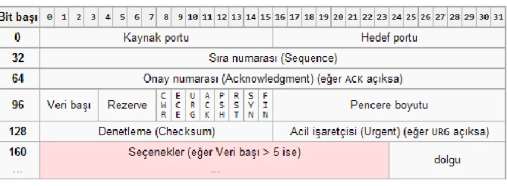 ġekil 2.1. TCP Paket BaĢlığı 