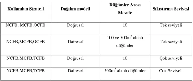 Çizelge 5.1 Yapılan analizlerin şeması 