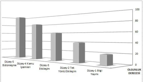 Grafik 1 : e-Devlet Olgunluk Aşamaları