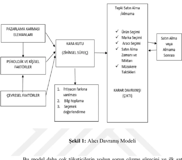 Şekil 1: Alıcı Davranış Modeli     