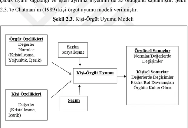 Şekil 2.3. Kişi-Örgüt Uyumu Modeli 