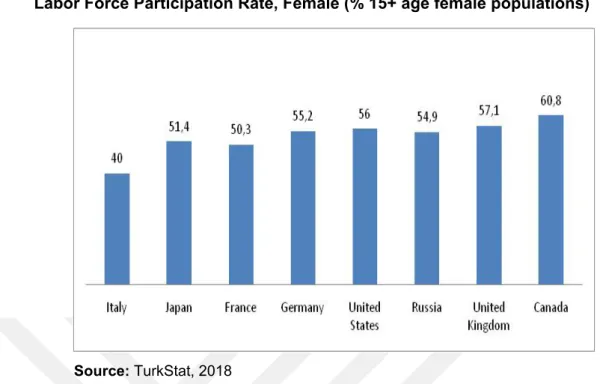 Figure 1. Labor Force Structure in Developed Countries:                                     Labor Force Participation Rate, Female (% 15+ age female populations)