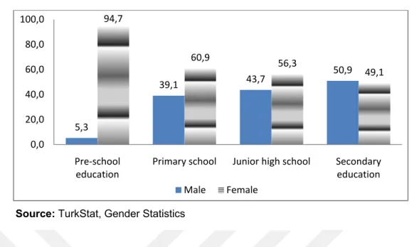 Figure 7.Percentage of the Rectors of Universities by Gender, 2018