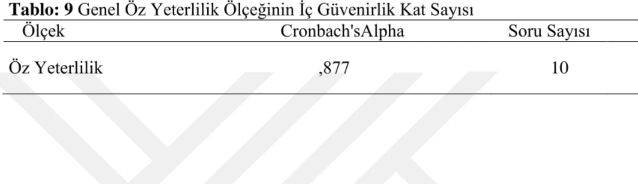 Tablo 10: Öz Yeterlilik İçin Uyum İndeksleri 