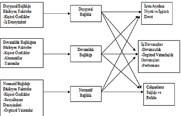 Şekil 1.1.  Üç boyutlu örgütsel bağlılık modeli (İnce ve Gül, 2005).  