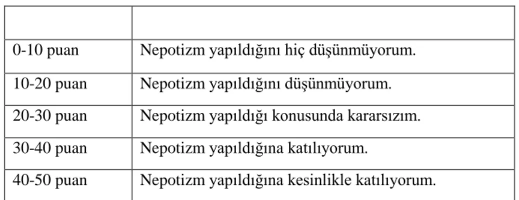 Tablo 10: Nepotizm Ölçek Puanları 
