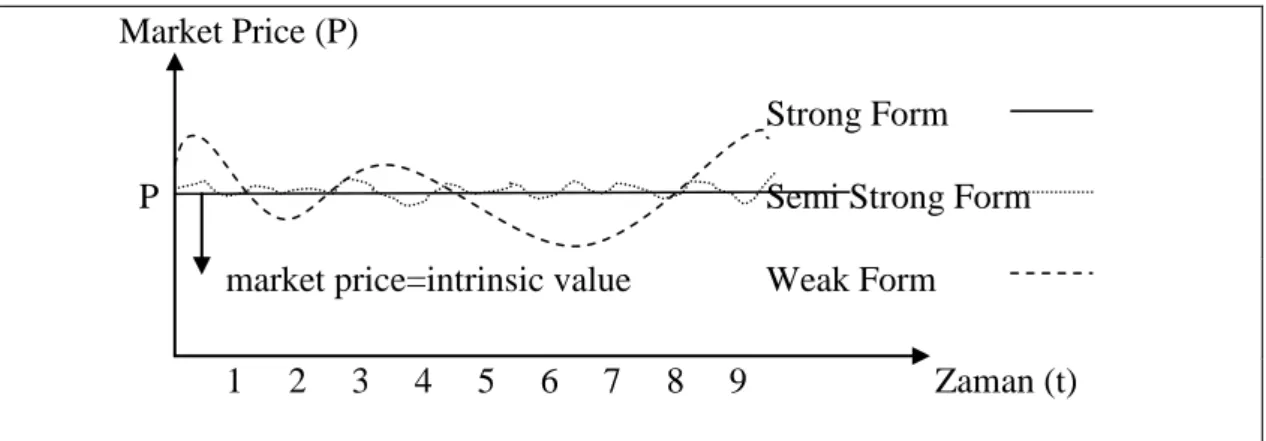 Figure 2.3.   Market Price and Efficient Market Hypothesis. 