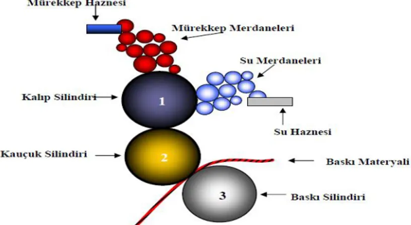 Şekil 3. Ofset Baskı Sistemi, (Bekiroğlu, 2007:46) 