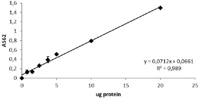 Şekil 7. Protein tayini için hazırlanmış standart grafik 
