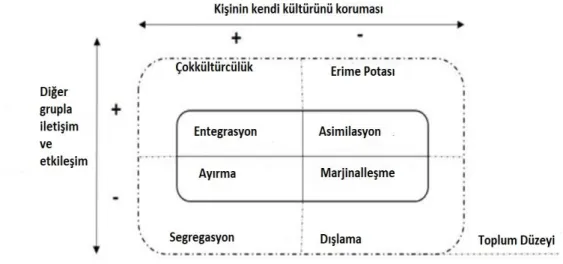 Şekil 1. Akültürasyon Stratejileri. 