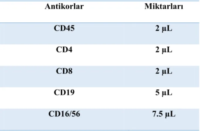 Tablo 4. Kullanılan antikorlar ve miktarları 