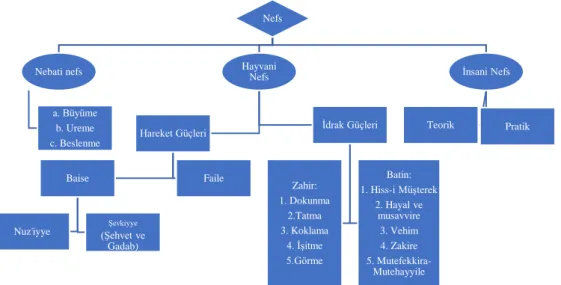 Tablo 1: Nefs ve Nefse Ait Güçler